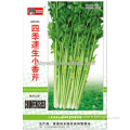 Chinese Celery Seed For Growing-Four Season Fast Growing Small Fragrant Celery